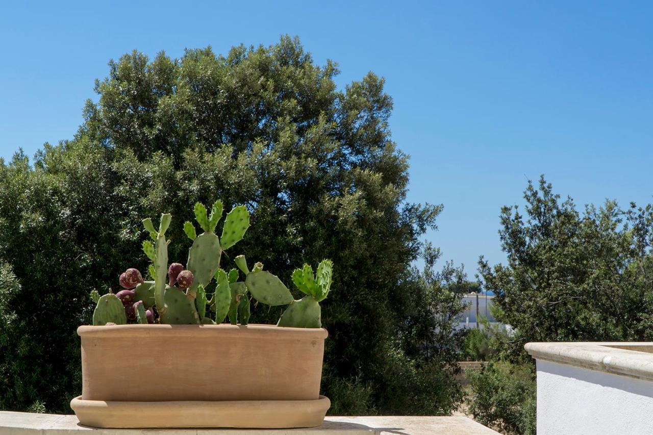 Antonella B&B Santa Maria di Leuca Екстериор снимка